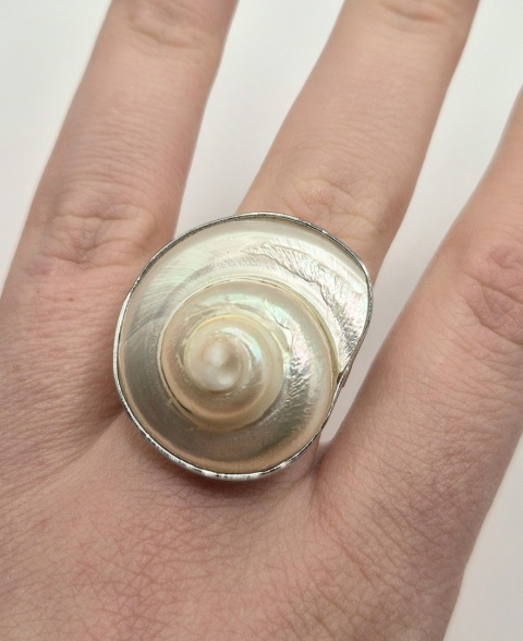 Wyjątkowy pierścionek ze stali szlachetnej zdobiony naturalną muszlą